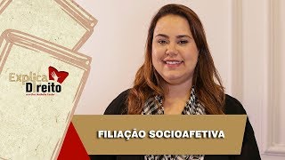 Explica Direito Filiação Socioafetiva  2019 [upl. by Atipul]