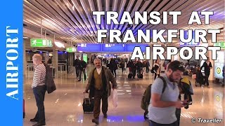 TRANSIT WALK AT FRANKFURT Airport FRA Terminal 1  Connection Flight Transfer Arriving amp Departing [upl. by Eoin]